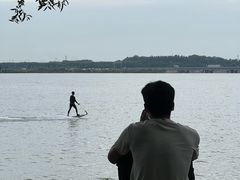 -丁香湖公园