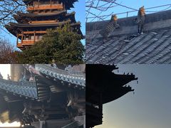 -杭州半山国家森林公园