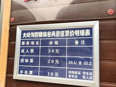 -大岭沟猕猴桃谷风景区