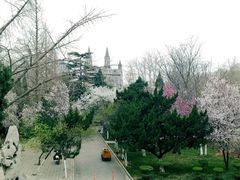 -洪家楼教堂