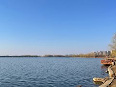-丁香湖公园