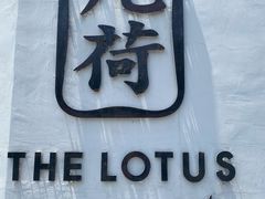 -几荷·恰似故人来(秀水广场店)