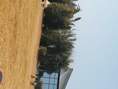 -夏河溪乡野公园