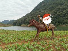 -广州市石门国家森林公园
