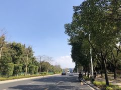 -飞凤山奥体公园