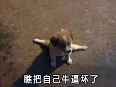 -翻滚吧!蛋炒饭·天津炒饭哥