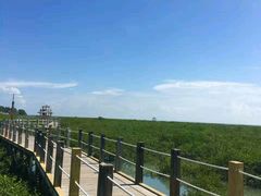 -北海金海湾红树林生态旅游区