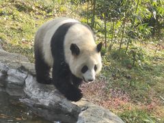-武汉动物园
