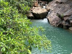 -广州白江湖森林公园