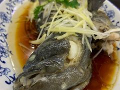 石斑鱼-望海潮海鲜店 特色家常菜(在海一方店)