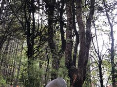 -卡定沟景区