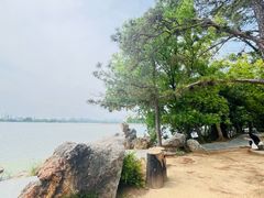 -东湖落雁景区