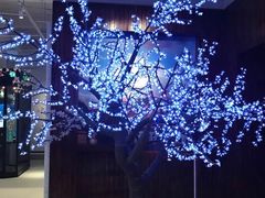 -矮子馅饼(大成路店)