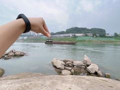 -金海湾滨江公园