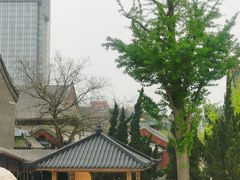 -天津大悲禅院