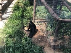 -辛玛王国游乐园