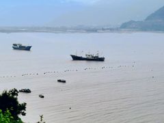 -北岐滩涂
