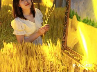 北京新展｜丰收的喜悦，庆丰收福临门艺术展