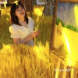 北京新展｜丰收的喜悦，庆丰收福临门艺术展