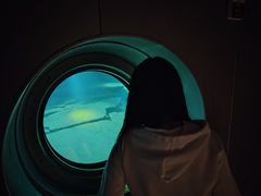 -白鹤梁水下博物馆