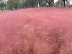 -乐乐餐厅(湘子庙街店)