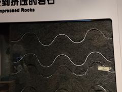 -正佳自然科学博物馆