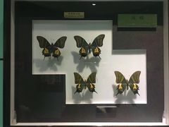 -上海昆虫博物馆