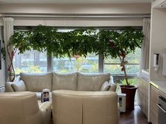 -精德口腔·种植修复·儿牙中心(财富中心店)