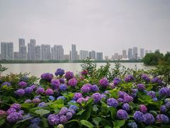-东湖磨山景区