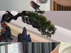 -席仁堂推拿按摩脊柱调理(世纪科贸大厦店)