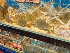 -飞尝蚝·顺德菜·鱼生(顺德总店)