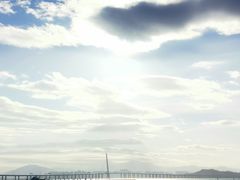 -深圳湾公园(南山区)