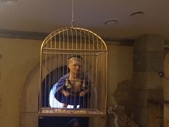 -信不信由你博物馆