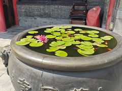 -慈恩寺