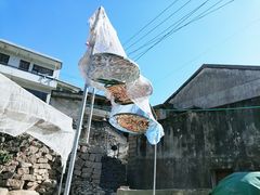 -东极岛景区