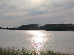 -丁香湖公园