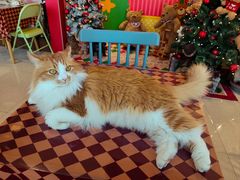 -氷冰凉刨冰甜品(北京路店)