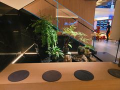 -连鹭海鲜·海肠捞饭·海胆饭(星海店)