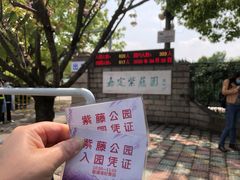 -嘉定紫藤园