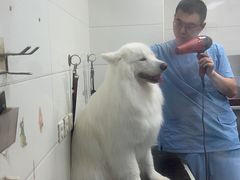 -达爱动物医院·犬猫分区·CT·复杂眼科(远洋山水分院)