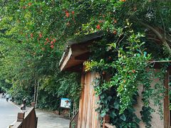 -贵阳市花溪国家城市湿地公园