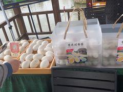 -溱湖国家湿地公园