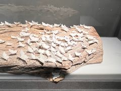 -景德镇中国陶瓷博物馆