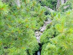 -苍山感通索道
