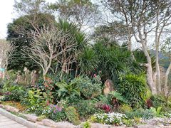 -梧桐山风景名胜区