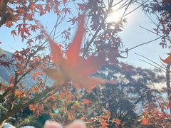 -广州市石门国家森林公园