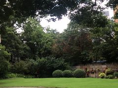 -上海文艺医院