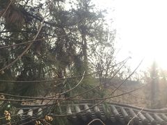 -西安曲江寒窑遗址公园