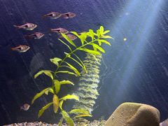 -上海海洋水族馆