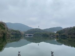 -杭州半山国家森林公园